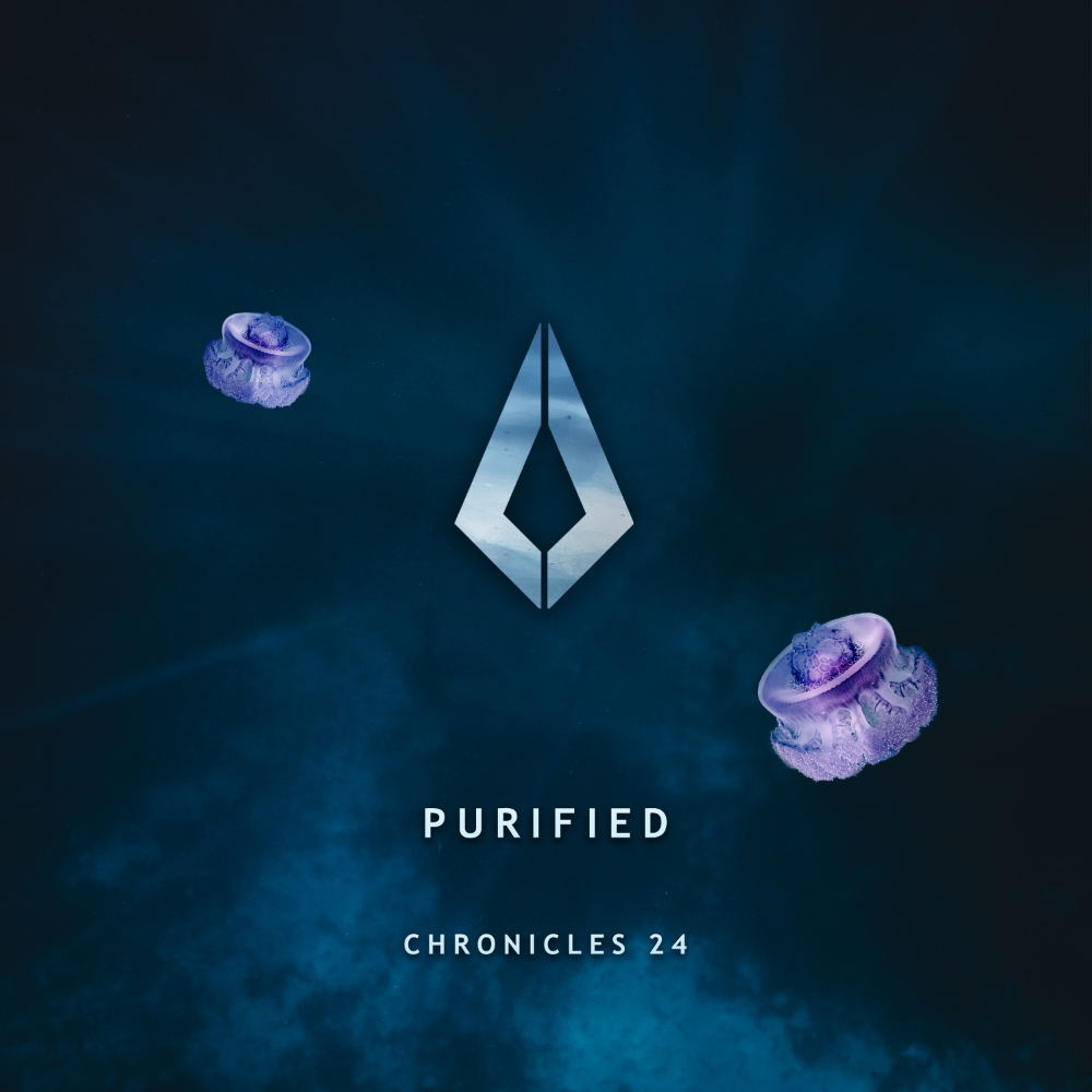 Purified Records has unveiled Chronicles 24, a compilation of the label's top tracks of the year.